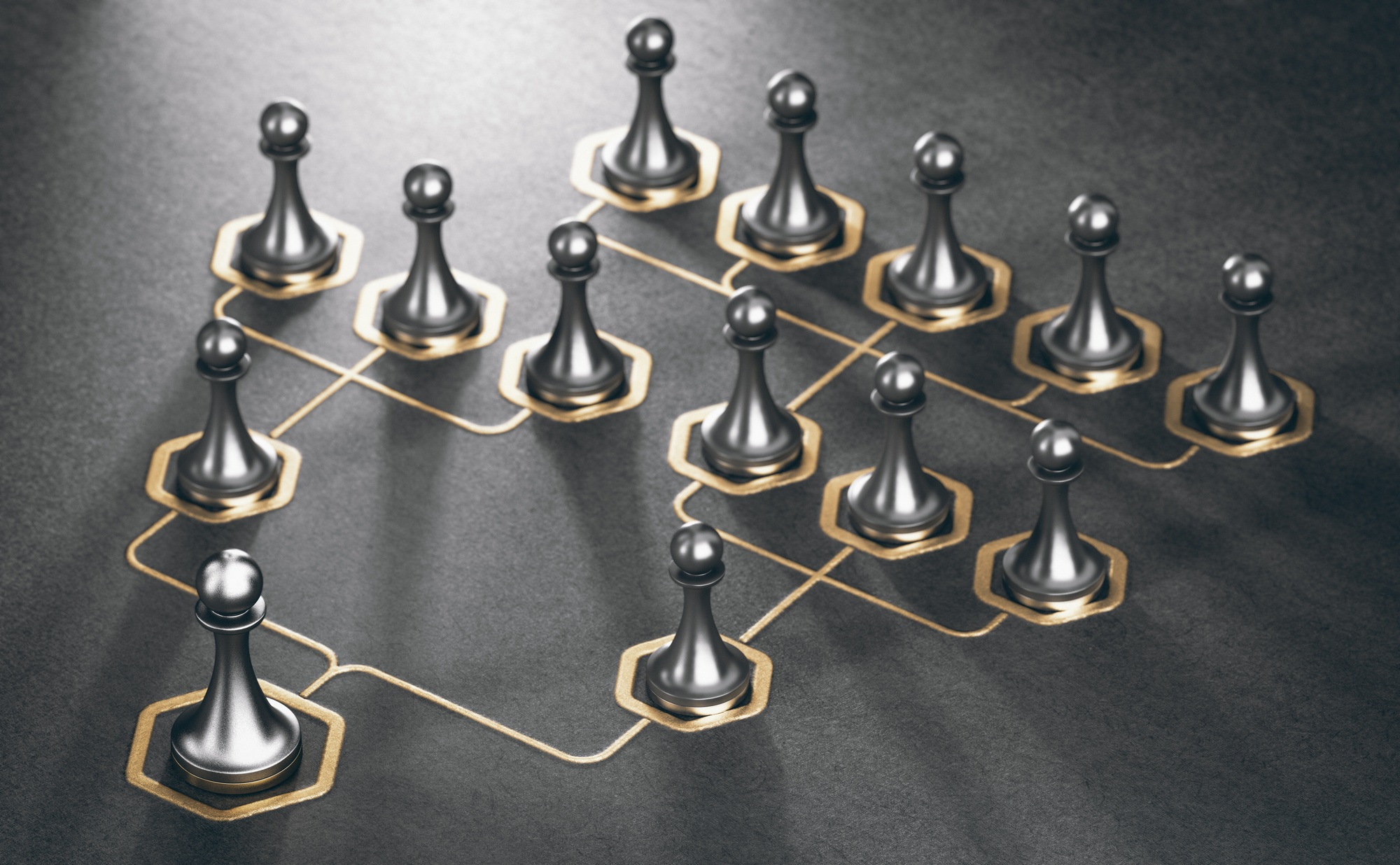 From the European Commission to NGOs: Why a Structured Hierarchy is Key to Success